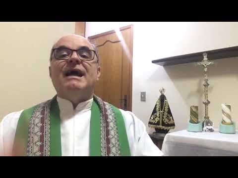 Homilia Pe. Amaro - 09/07/2020 - Paróquia Sagrado Coração de Jesus (Brooklin - SP)