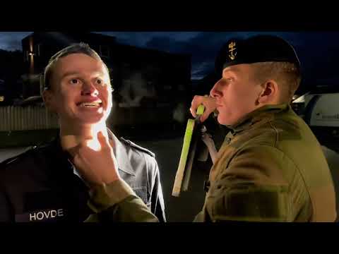 D-Block Parodivideo Tropp 1.3 2309 Madla