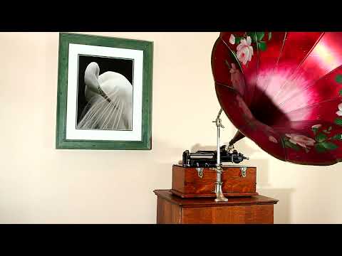 "The Whistler And His Dog", Edison Military Band on Gold Moulded Black Wax Cylinder Record #9107