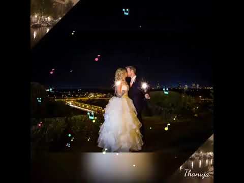 සුවබර නිසංසලේ / ධනපාල උඩවත්ත