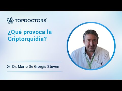 ¿Qué provoca la Criptorquidia?