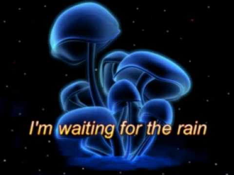 download lagu mp3 mp4 Infected Mushroom I Wish Lyrics, download lagu Infected Mushroom I Wish Lyrics gratis, unduh video klip Infected Mushroom I Wish Lyrics
