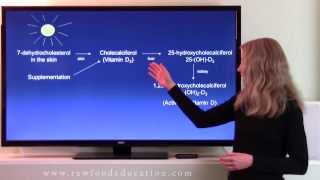 An Introduction to How Vitamin D is Made in Our Skin