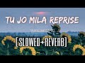 Tu Jo Mila Reprise Slowed Reverb Papon Bajrangi Bhaijaan