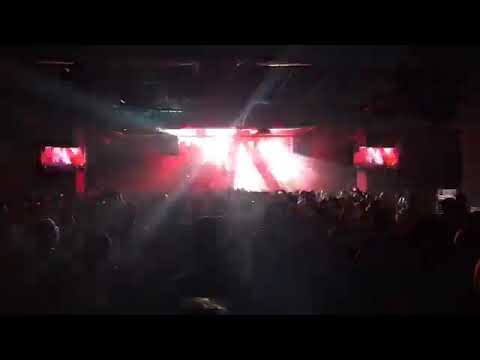 PROJECT E.A.R - The Bee KL