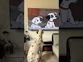 A Dalmatian Watching TV Of Dalmatians Watching TV Disney 101 Dalmatian