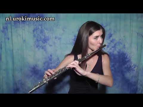 Fluit Leren Spelen Taylor Swift - Shake It Off Cover Fluitles Studie Klasse Muzieknoten Bladmuziek