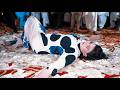 Tangan Teriya De Urwa Khan Mujra Dance Performance SGStudio 2026