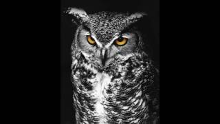 Too Tight Henry Squinch Owl Moan (1930)