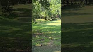 Discmania Midnight Prowl 2 #turnovertuesday #discgolf #dangdiscgolf #golf #woods #hagoodmilldgc