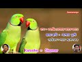 Bolchhi Tomar kane kane (Female) karaoke with Lyrics/বলছি তোমার কানে কানে Lata Mangesk