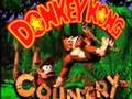 Donkey Kong Country Theme Song by David Wise