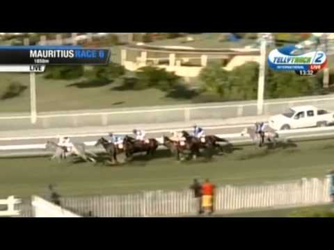 2015.07.04 The Winter Stakes (MRI) - Skippyjon Jones