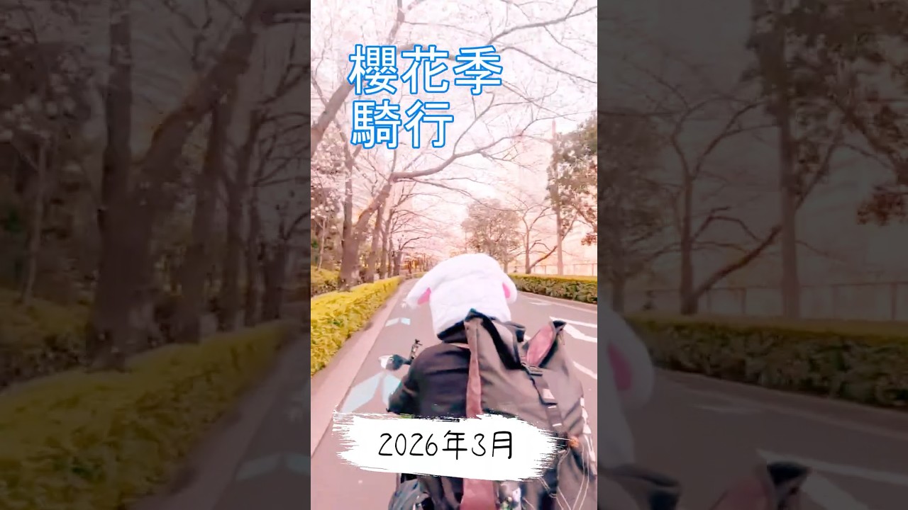 3月的東京，櫻花都開了，來場騎行吧 #櫻花 #騎行 #放鬆