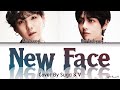 BTS Suga & V New Face Cover Lyrics