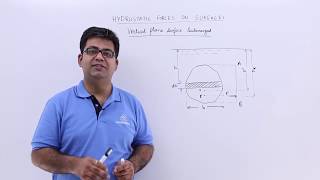 Vertical Plane Surface Submerged in a Liquid