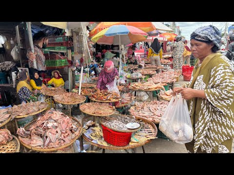 Cambodian Dry Fish Market @Kilo 9 - Amazing Site Selling All Kind of Dry Food As Fish, Frog & Beef