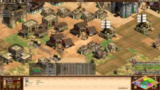 AoE2- Best Oasis Game Ever?