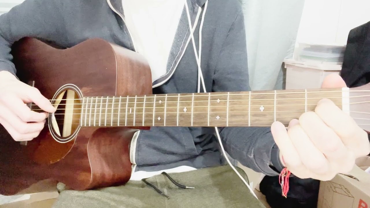 Roberto Barlocci playing Astor's Birthday Party from Dexter on solo fingerstyle guitar