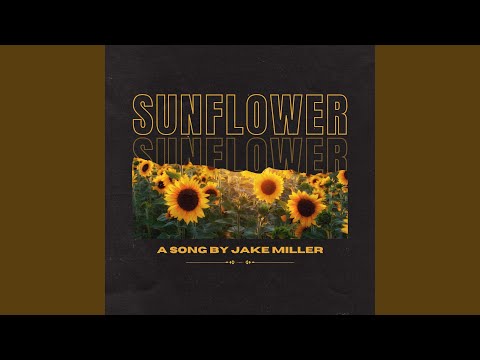 Video thumbnail for Sunflower