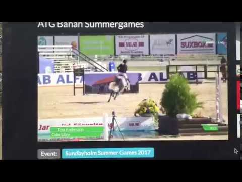 SOLD. Coupe de Coeur / Calido - Carry Gold 7y (2010) winner 1,30