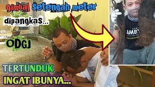 Download lagu AMAZING, SEtelah Rambut Gimbalnya Dipangkas dan Mandi, ODGJ Ingat Keluarganya | BELAJAR HIDUP mp3 Download lagu AMAZING, SEtelah Rambut Gimbalnya Dipangkas dan Mandi, ODGJ Ingat Keluarganya | BELAJAR HIDUP mp3