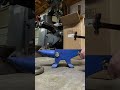 How to silence an anvil #blacksmith #science #technology