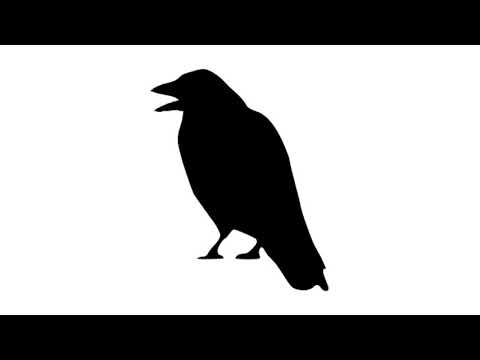 Crow Sound Effect
