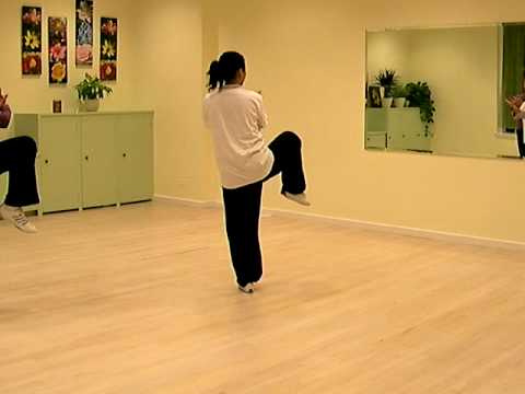 tj 8 fom back view 1