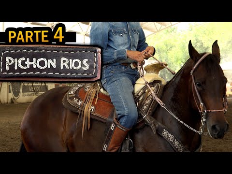 Mauricio Pichon Rios - Part 4 This exercise towards my Grandfather and my Father