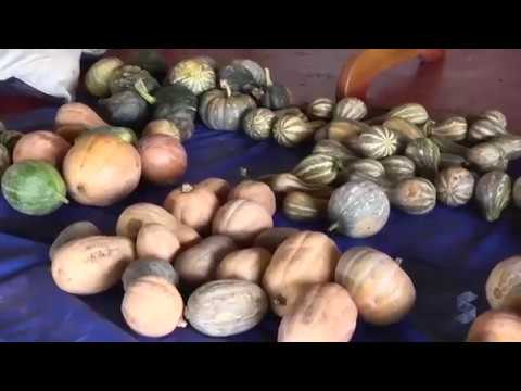 Programa SIC  Rural - 11/02/2018