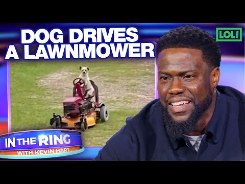 Funniest Caught On Doorbell Cam Moments | In The Ring with Kevin Hart | S1 E1 | LOL! Network