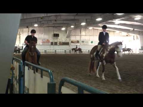 2016-04-16 LMHA Show English