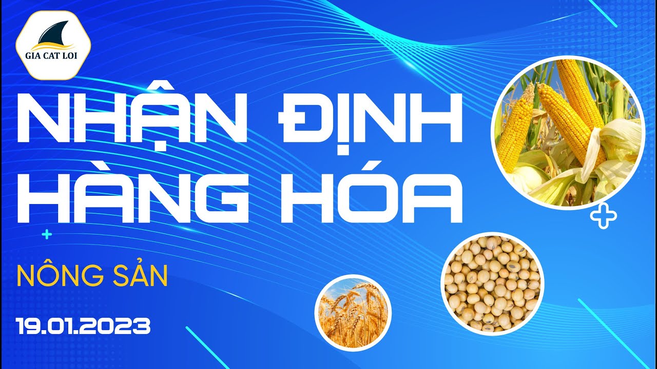 Nhận Định Thị Trường Nông Sản Ngày 19/01/2023