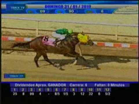 Resumen Domingo 31 de Enero 2010 - La Rinconada