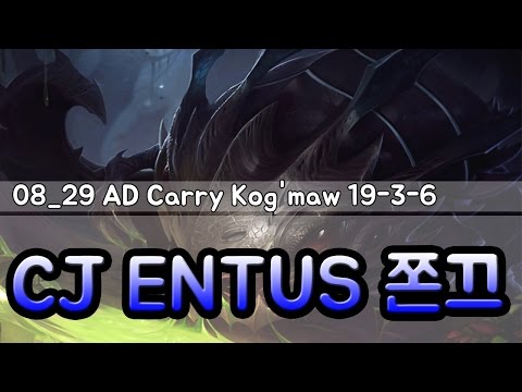 08_29 CJ ENTUS 쫀끄 AD Carry Kog'maw highlights //원딜 코그모 하이라이트 19-3-6