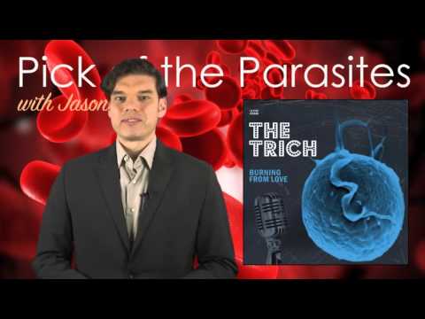 Number 5 - The Trich