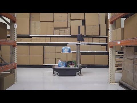 YouTube video about Robust.AI Carter