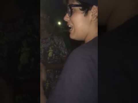 MT VS Harry VS Crudo