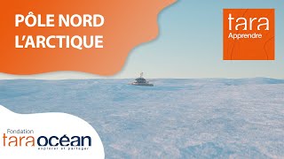 L’Arctique, écosystème sentinelle du dérèglement climatique - Expédition Tara Polar Station