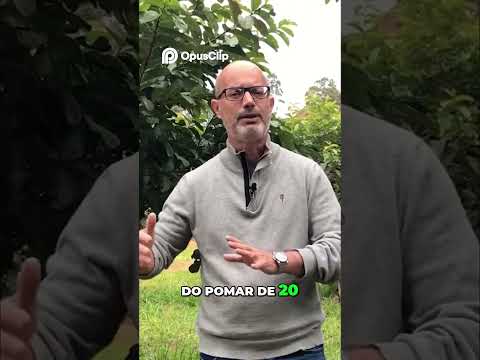 Goiabeira: Produtividade da Goiaba e Duração do Pomar, Cuidados e Potencial de Produção na ZMM