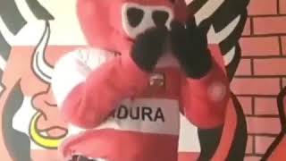 Download lagu Supoerter Madura united aja dah ikut challenge ini ayo suporter yg lain mana nich mp3