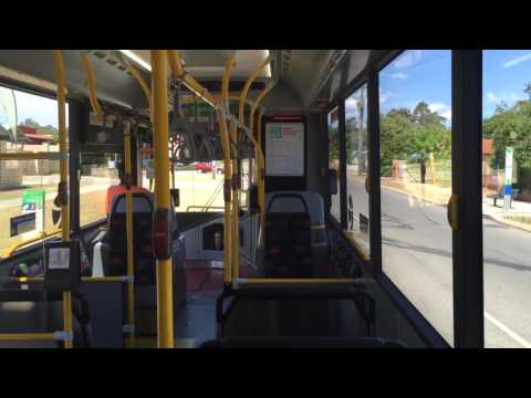 Transperth Volvo B7RLE/Volgren "Optimus" #2517 (ZF EcoLife)
