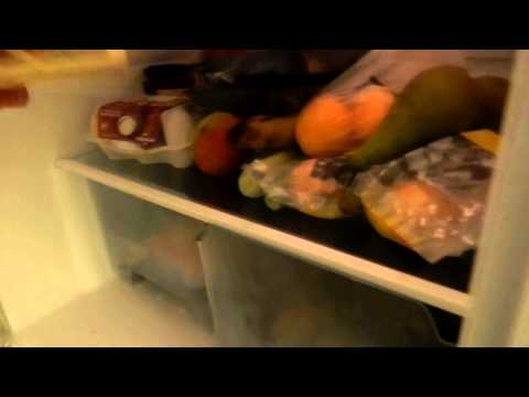 MongoTV_143 - Del 8 - Gåtur Med Gamle Fede Olsen - Hjemme Igen