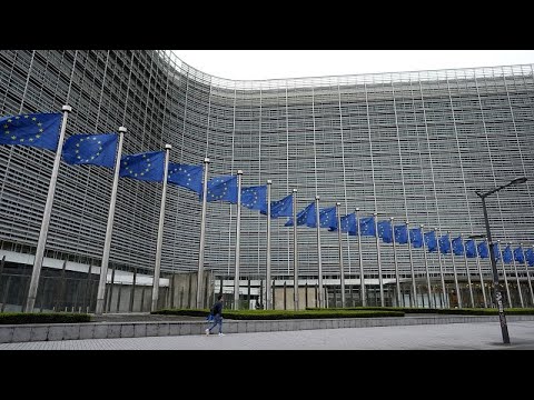 Islands neue Regierung will ein Referendum über eine EU-Mitgliedschaft