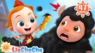 Download lagu Baa Baa Black Sheep, Have You Any Wool? | Song Compilation   LiaChaCha Nursery Rhymes & Baby Songs mp3