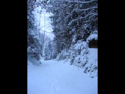 Nebelfront - Nebelfront