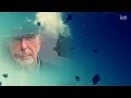 Almost Like the Blues...Leonard Cohen (Lyric ...