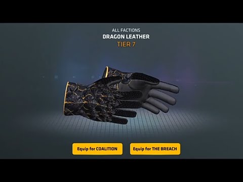 I got my first C-Ops gloves.