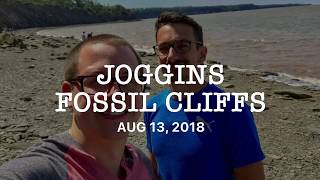preview picture of video 'Joggins Fossil Cliffs'